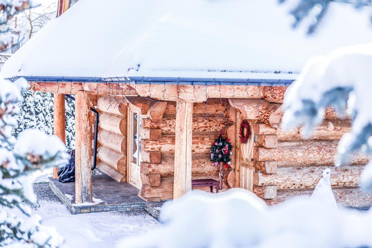 Chalet Wioska Jagny Poronin Dış mekan fotoğraf