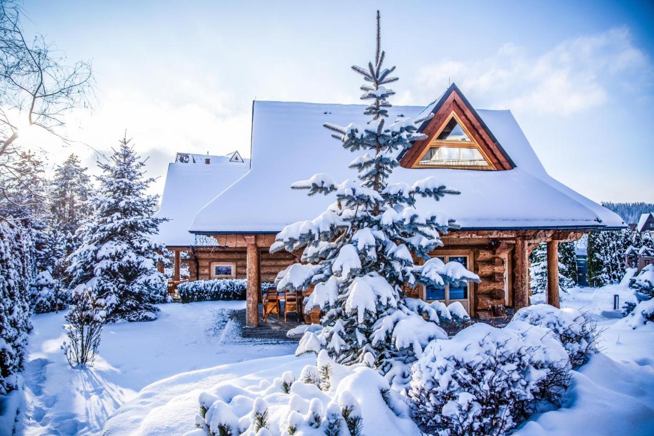 Chalet Wioska Jagny Poronin Dış mekan fotoğraf